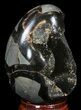 Septarian Dragon Egg Geode - Black Calcite Crystals #33995-1